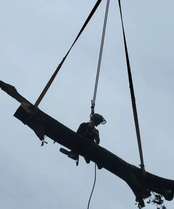 247 Emergency Storm Response Slider