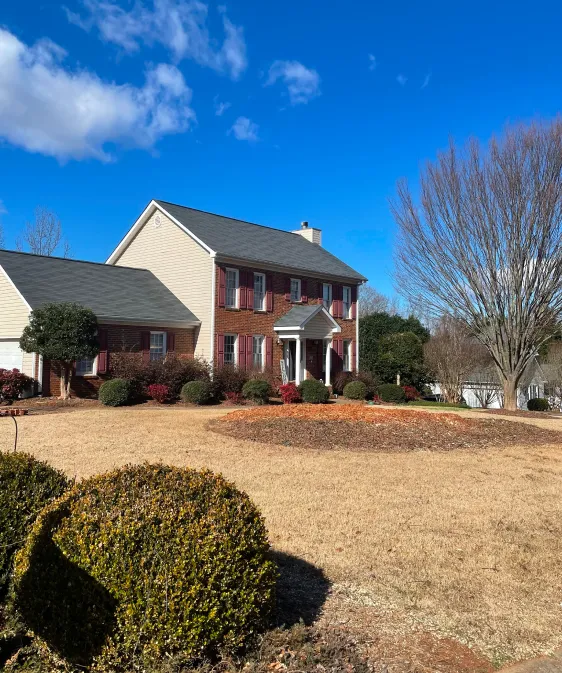 Mulch and Pine Needles Slider