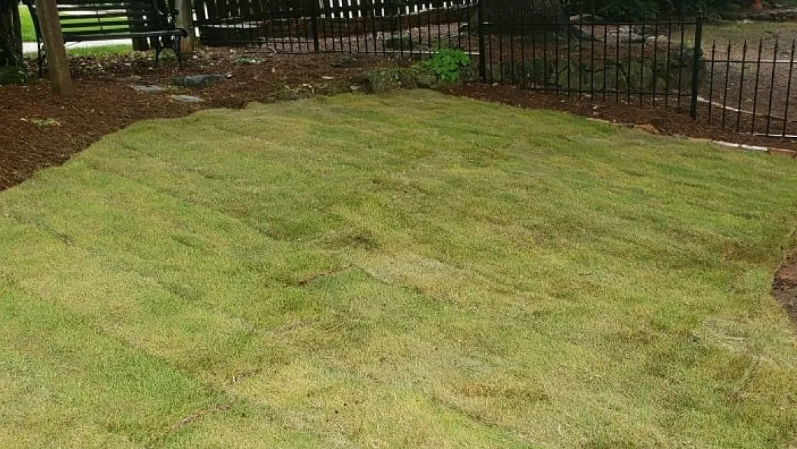 Sod Installation Sod Installation