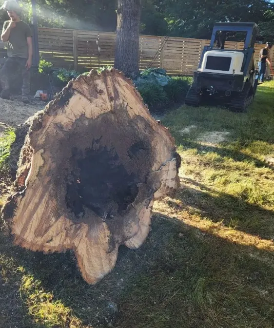 Stump Grinding Slider