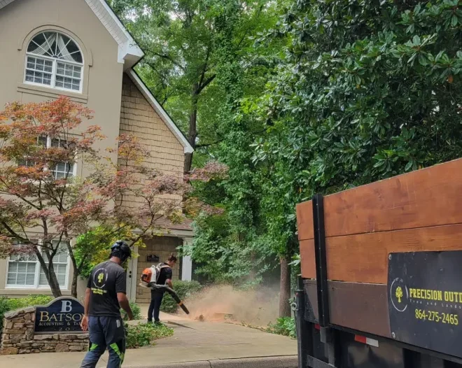 Greenville’s Trusted Tree Service Professionals
